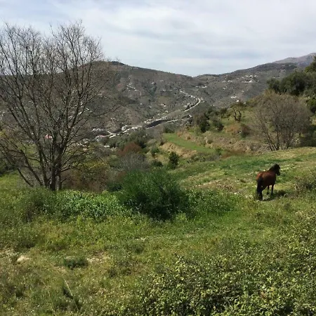 Casa Finola 3* Competa