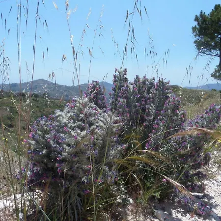 Bed & Breakfast Casa Finola